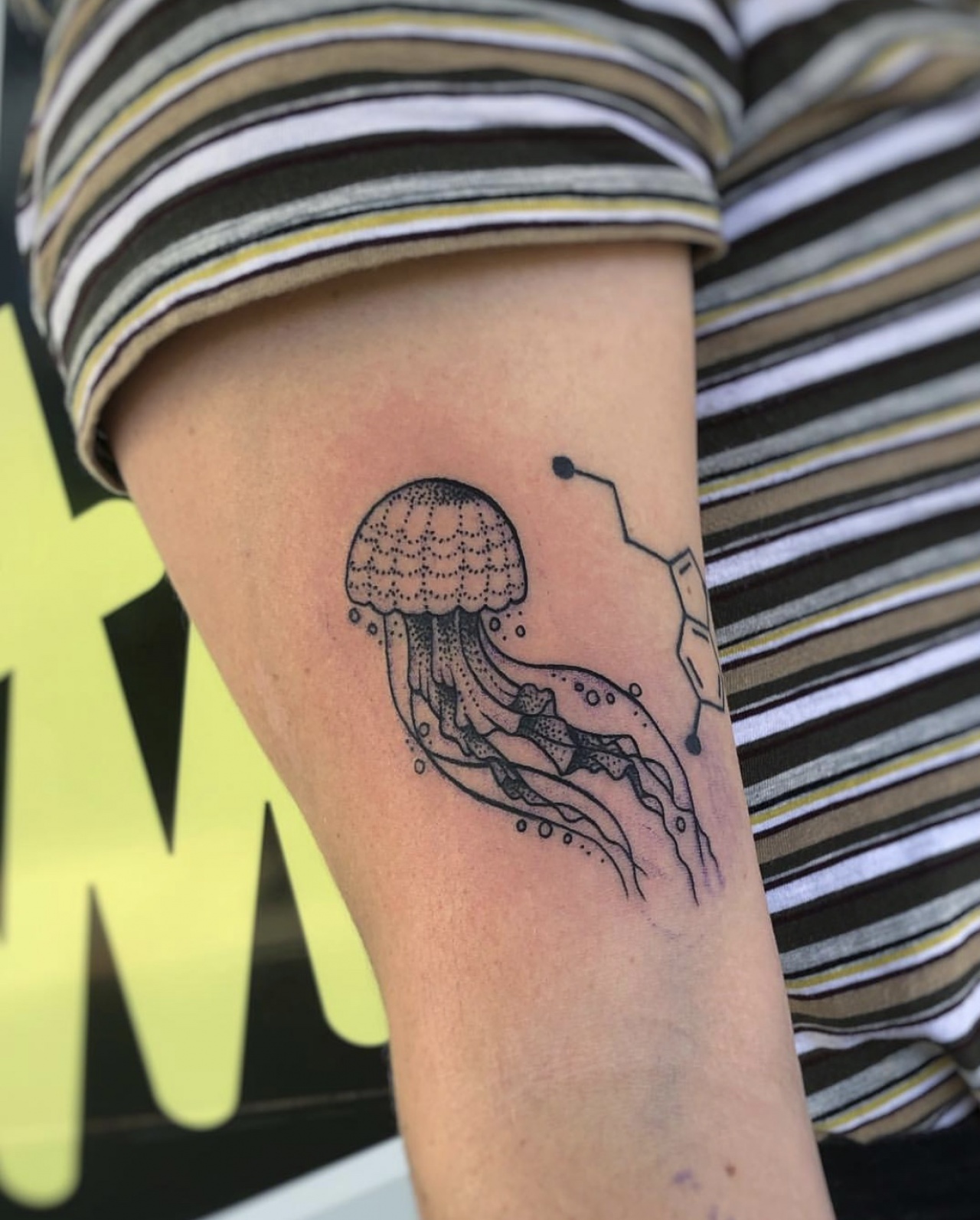 Nick Scott Owner Seaside Tattoo Seaside Tattoo Port Macquarie